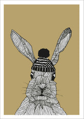 Hase Rob
